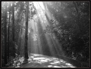 raios_de_sol-ABV-080608-P_21280a