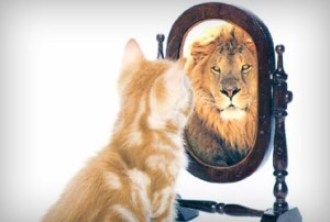 20_musica_materia_vaidade