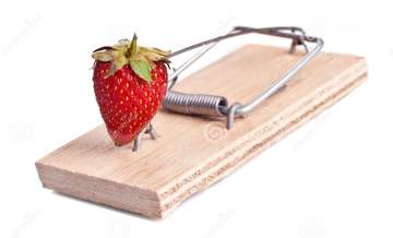 ???????????????????????????????????????????????????????????????????